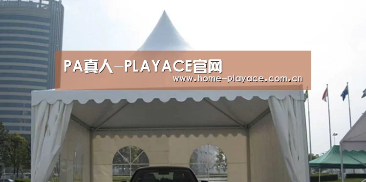 案例标题八